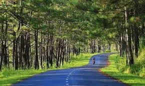 suoi-vang-ankroet-da-lat