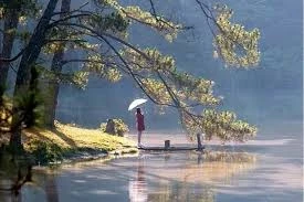 thung-lung-vang-da-lat